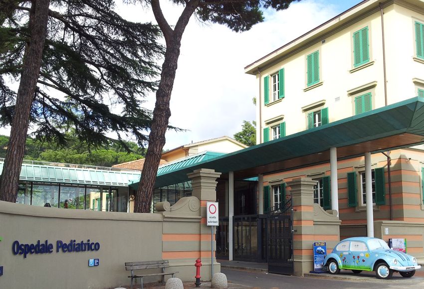 Amaci- Meyer Firenze