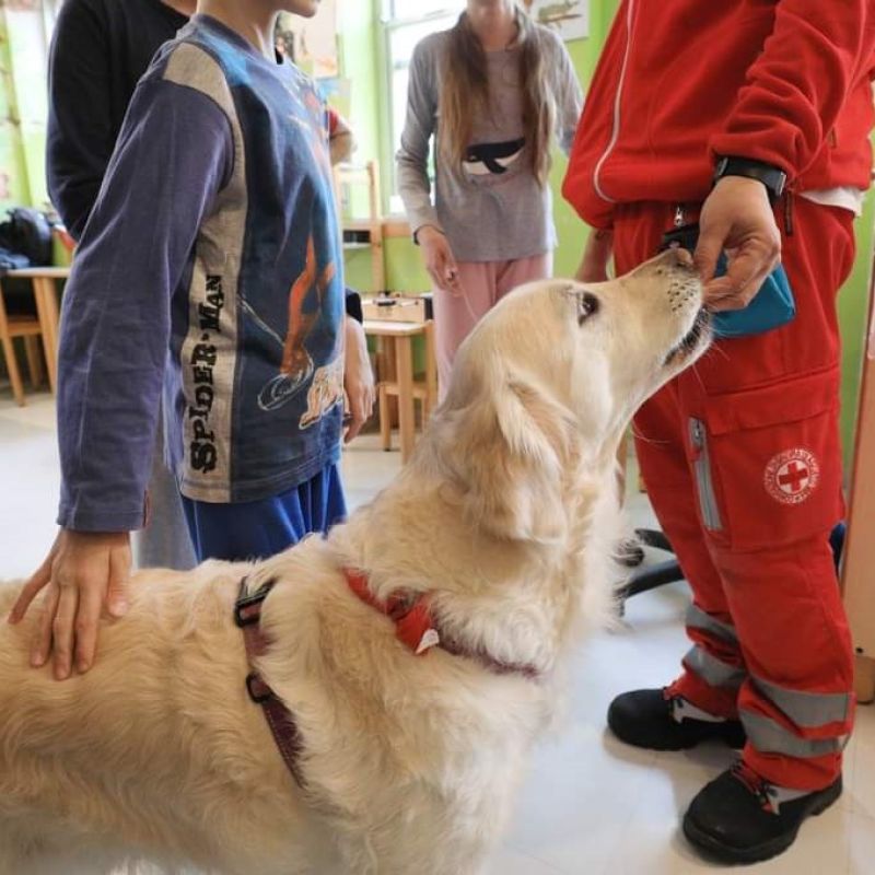 Pet Therapy