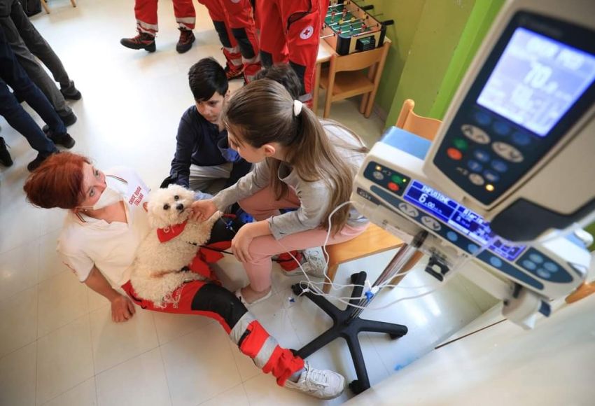 Attività di Pet Therapy